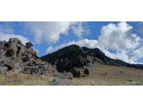 photo coins arrondis