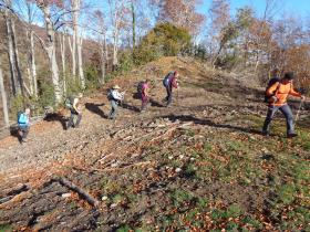 photo coins arrondis