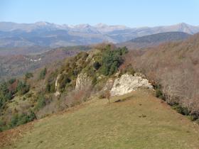 photo coins arrondis