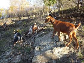 photo coins arrondis