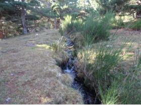 photo coins arrondis