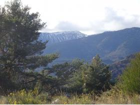 photo coins arrondis