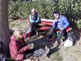 photo coins arrondis