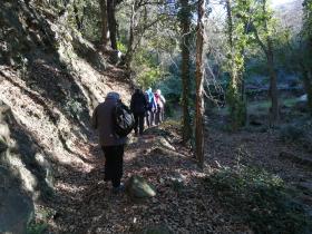 photo coins arrondis