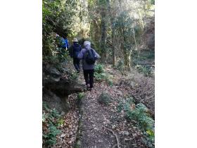 photo coins arrondis