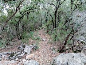 photo coins arrondis