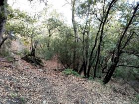 photo coins arrondis