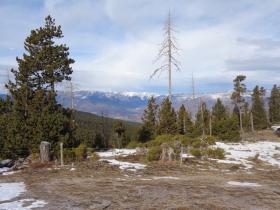 photo coins arrondis