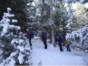 photo coins arrondis