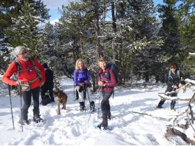 photo coins arrondis