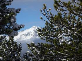 photo coins arrondis