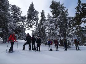 photo coins arrondis