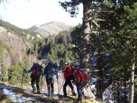 photo coins arrondis