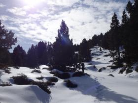 photo coins arrondis