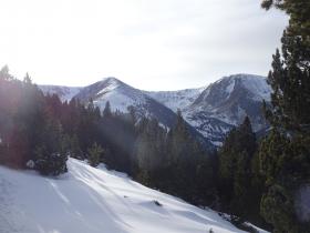 photo coins arrondis