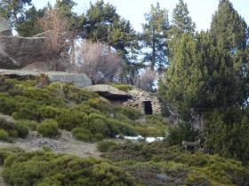 photo coins arrondis