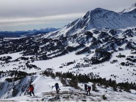 photo coins arrondis