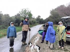 photo coins arrondis