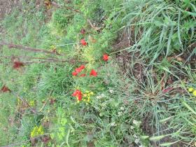 photo coins arrondis