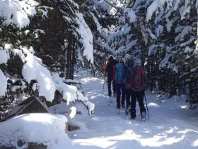 photo coins arrondis