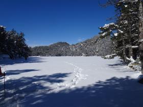 photo coins arrondis