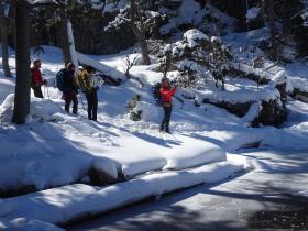 photo coins arrondis