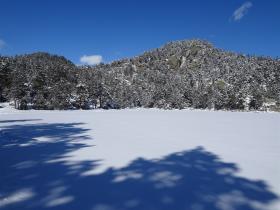 photo coins arrondis