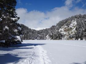 photo coins arrondis