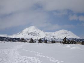 photo coins arrondis