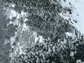 photo coins arrondis