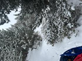 photo coins arrondis