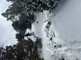 photo coins arrondis