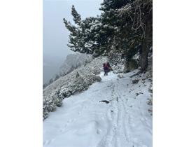 photo coins arrondis