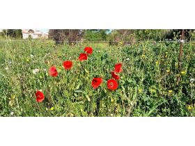 photo coins arrondis