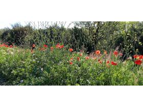 photo coins arrondis