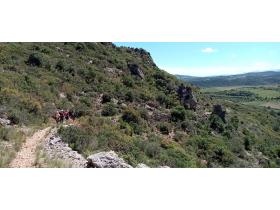 photo coins arrondis