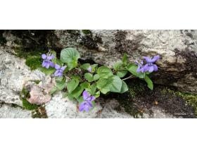 photo coins arrondis