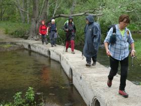 photo coins arrondis