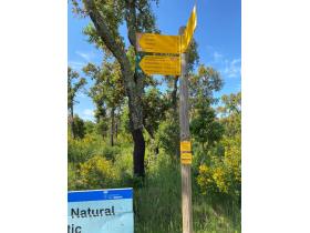 photo coins arrondis