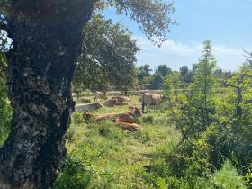 photo coins arrondis