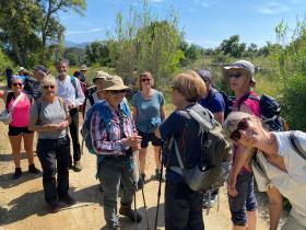 photo coins arrondis