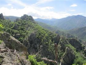 photo coins arrondis