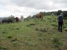 photo coins arrondis