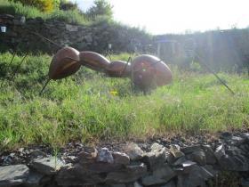 photo coins arrondis