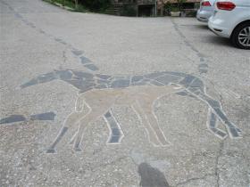 photo coins arrondis