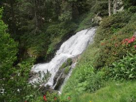 photo coins arrondis