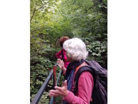 photo coins arrondis