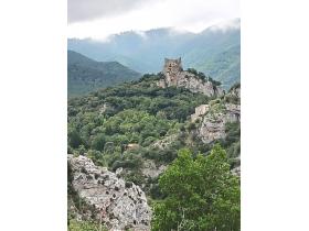 photo coins arrondis