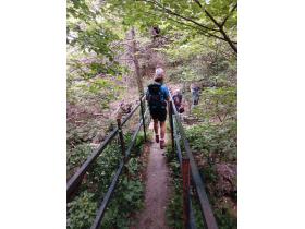 photo coins arrondis