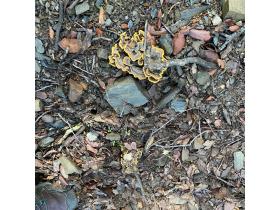 photo coins arrondis